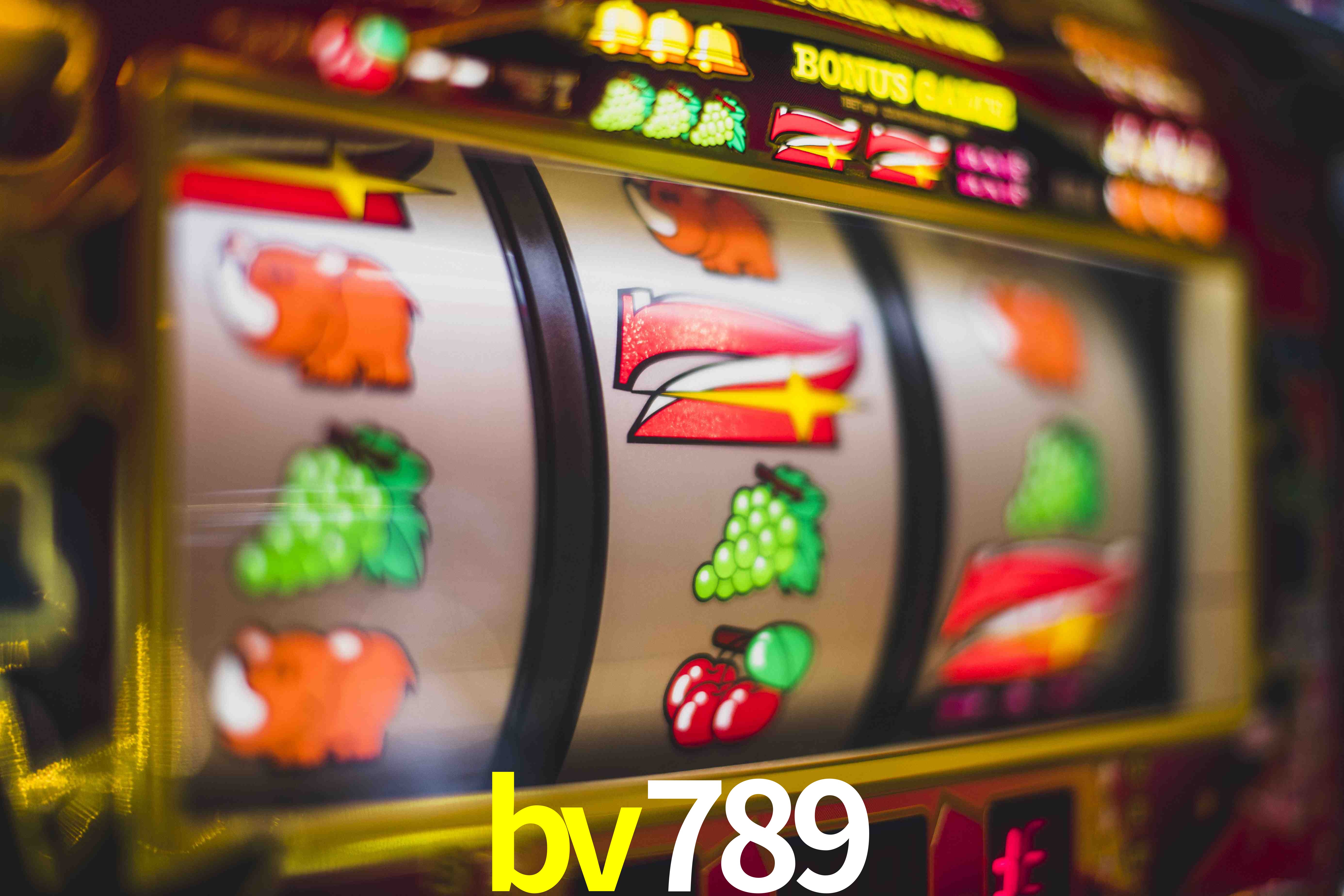 VIP Casino bv789